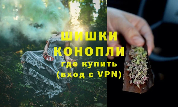 прущие грибы Балабаново
